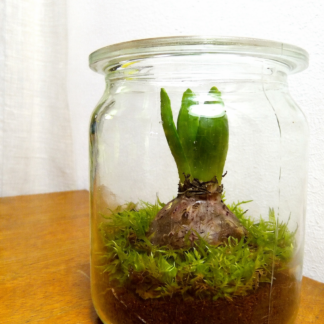 Un petit bout de nature