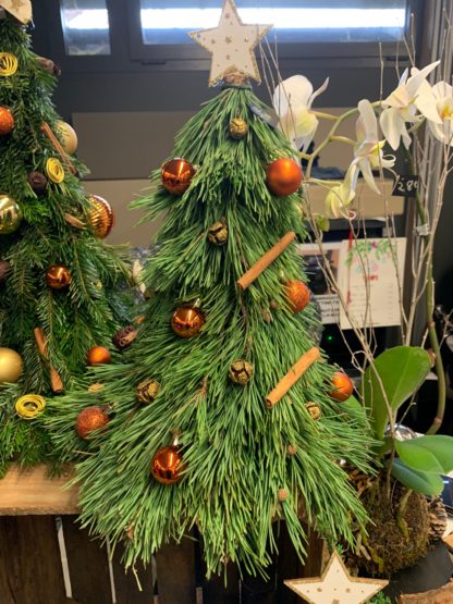Sapin