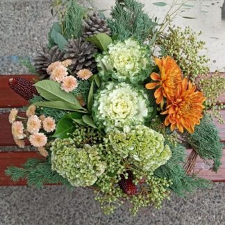 Profusion