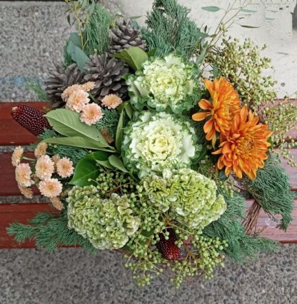 Profusion